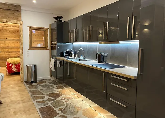 Renovated Flat At The Foot Of The Grands Montets 公寓 *