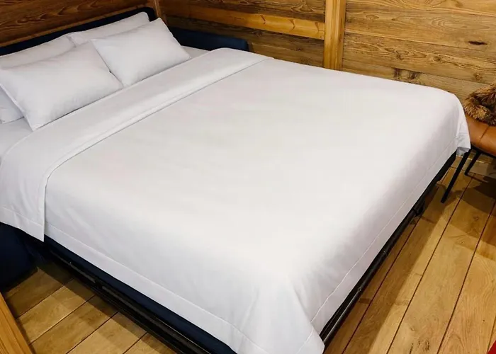 Rénové Au Pied Des Grands Montets Appartement *